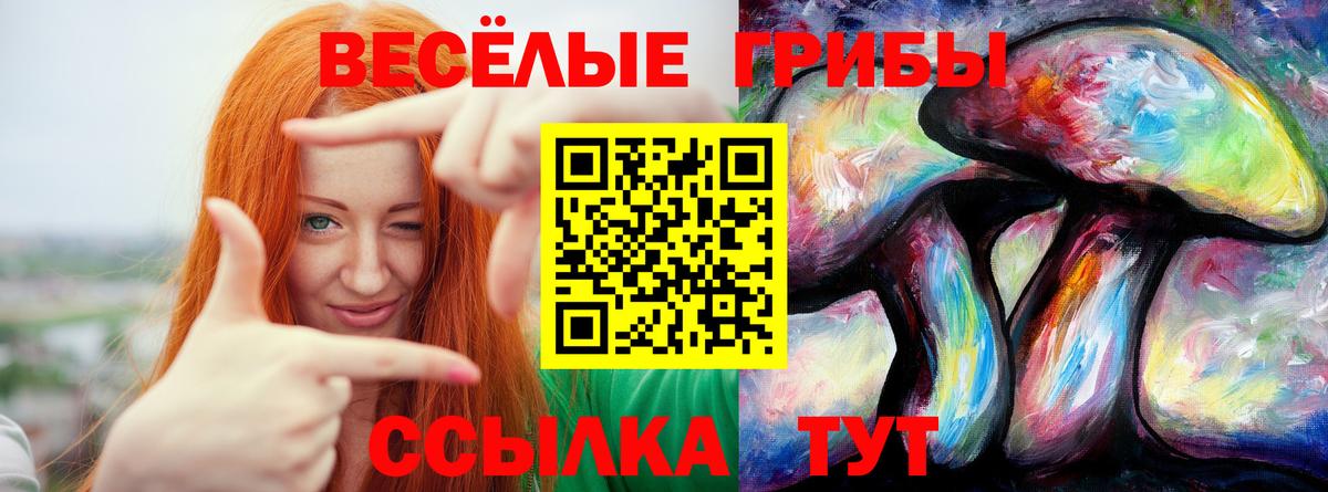 Галлюциногенные грибы Psilocybine cubensis  Галлюциногенные грибы мухоморы  Вход с VPN  Семилуки 
