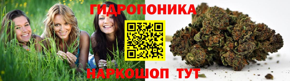 Семилуки  Бошки марихуана тримм  Каннабис ГИДРОПОН  Вход с VPN 
